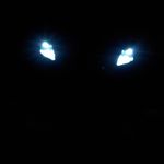 TaMong profilbillede