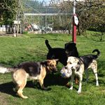 Mureren profilbillede